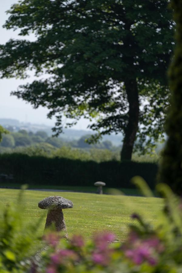 The Lambing Shed, Cornwall Altarnun Εξωτερικό φωτογραφία